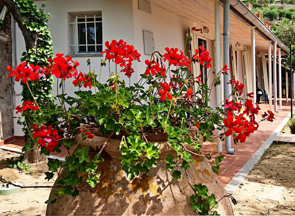 Bed and Breakfast Tra Gli Ulivi Pietra Ligure Exterior foto